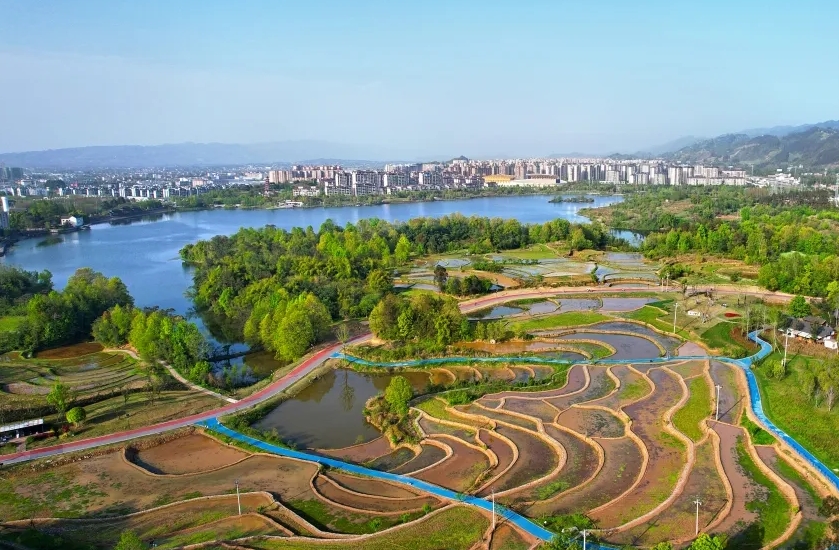 AI-Driven Ecological Protection at Shuanggui Wetland Park