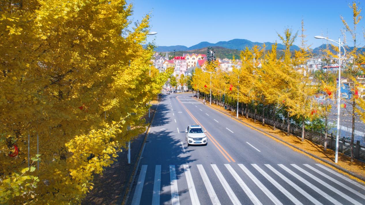 【雄奇山水 冬韵武隆】（一）彩叶织锦·山野层林映画
