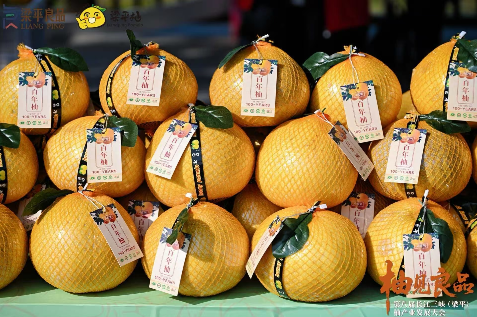 第八届长江三峡（梁平）柚产业发展大会启幕 科技赋能擦亮“黄金果”金字招牌