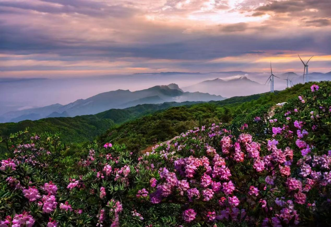 武隆大洞河乡：森呼吸观星赏雪 八大IP点亮诗意山野